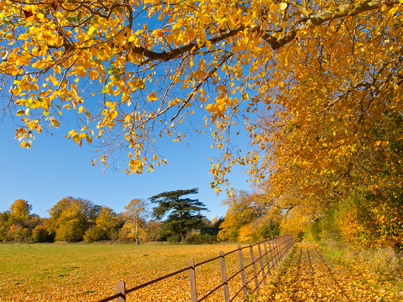 Autumn colour, Sherborne, Gloucestershire