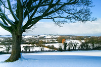 Cotswold winter landscape