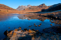 Blea Tarn and the Langdale Pikes, winter