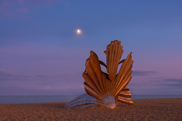 Scallop sculpture, after sunset