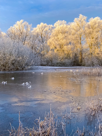 Morning frost, Lechlade
