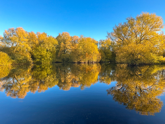 Autumnal reflections